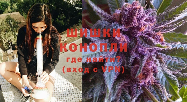 молекула духа Вязьма