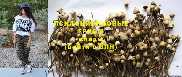 альфа пвп Вяземский