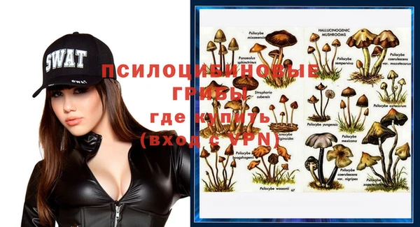 молекула духа Вязьма