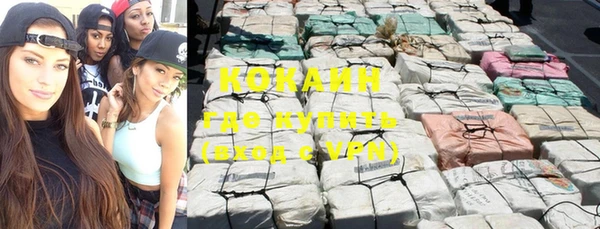 молекула духа Вязьма