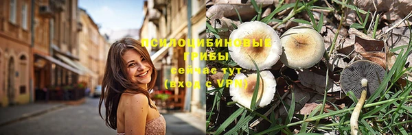 молекула духа Вязьма