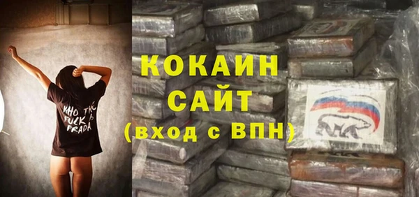 молекула духа Вязьма