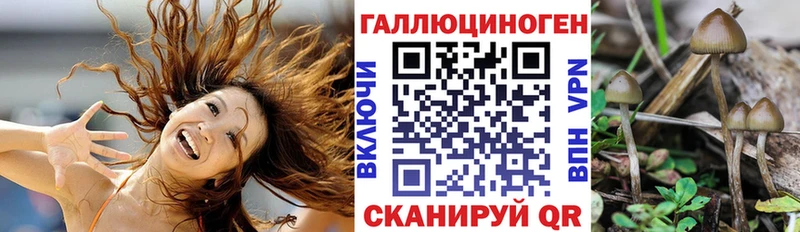 Псилоцибиновые грибы ЛСД Купить закладки Сертолово